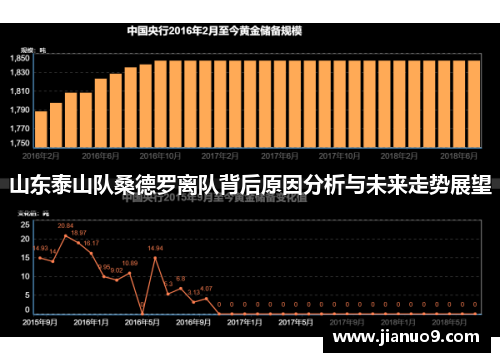 山东泰山队桑德罗离队背后原因分析与未来走势展望